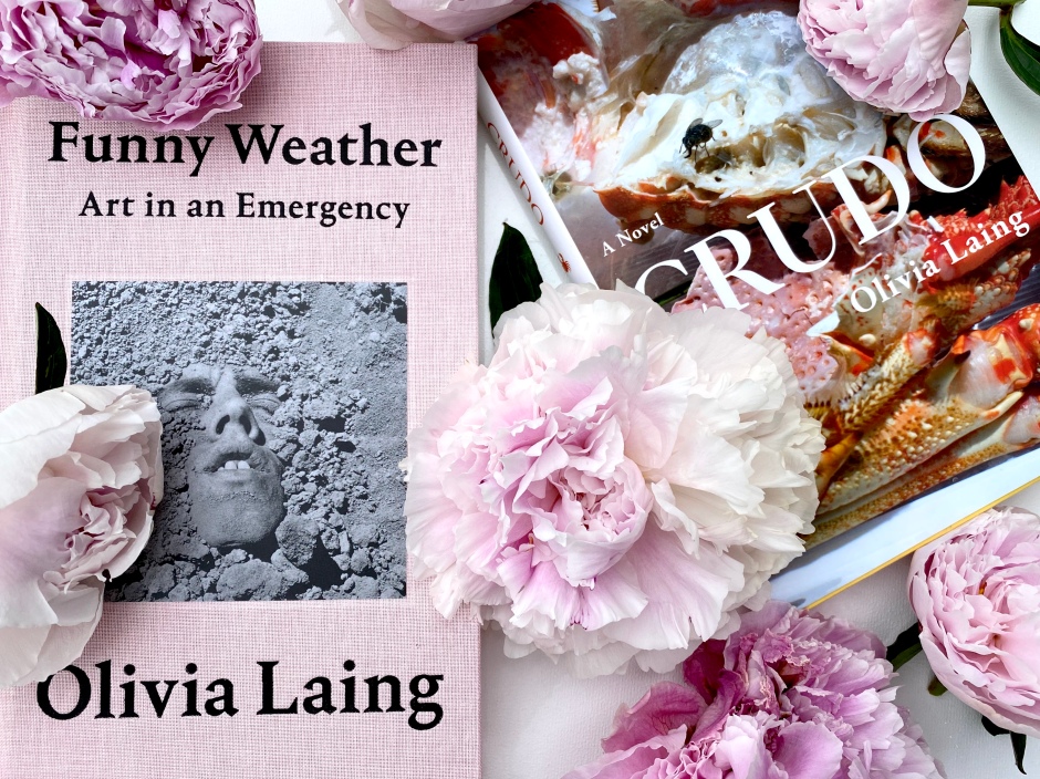 Get e-book Funny weather art in an emergency No Survey
